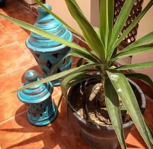 Boho - Airport Egypt Apartment Hurghada